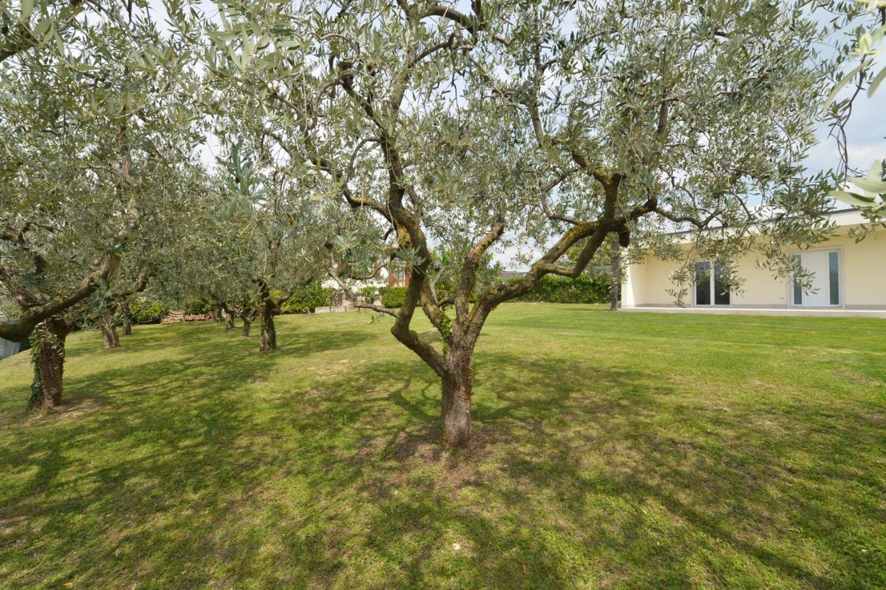 ברדולינו Albergo Panoramica מראה חיצוני תמונה