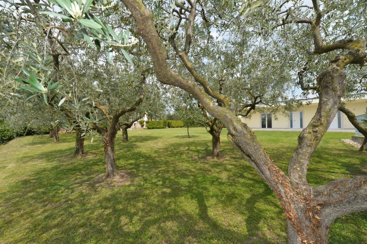 ברדולינו Albergo Panoramica מראה חיצוני תמונה